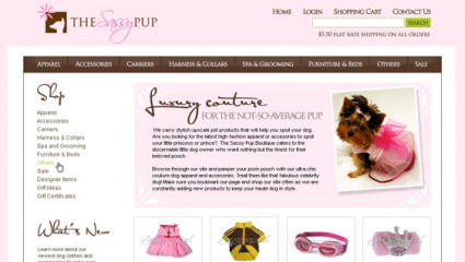 Web design for Sassy Pup